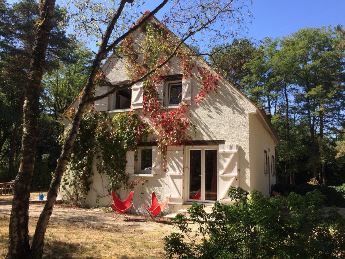 Chambres Au Coeur Du Massif Des Trois Pignons Noisy-sur-Ecole Εξωτερικό φωτογραφία