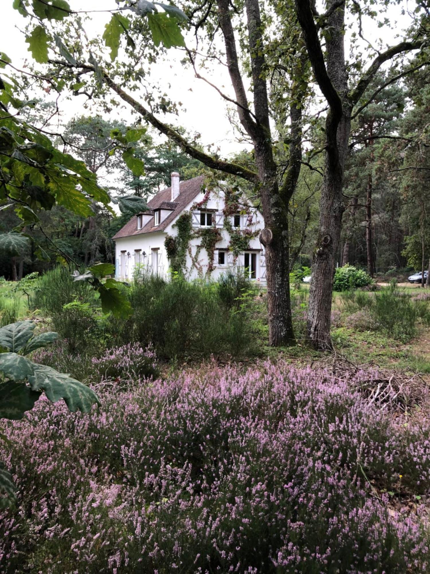 Chambres Au Coeur Du Massif Des Trois Pignons Noisy-sur-Ecole Εξωτερικό φωτογραφία